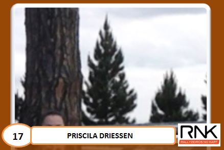 Figurinha de Priscila Driessen não atenderia o padrão RNK de qualidade.